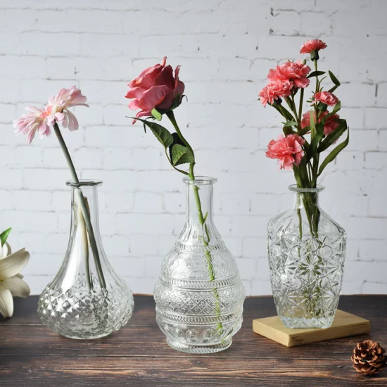 Vaso de vidro estilo moderno popular vaso de vidro decorativo flor planta vaso de mesa para escritório